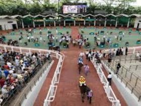 سنغافورة تعلن نهاية 180 عامًا من سباقات الفروسية