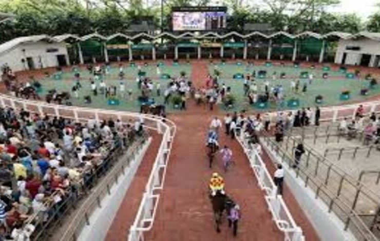 سنغافورة تعلن نهاية 180 عامًا من سباقات الفروسية