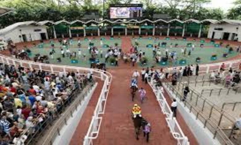 سنغافورة تعلن نهاية 180 عامًا من سباقات الفروسية