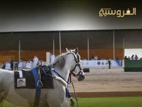 «هادي دو كارير» يتوج بكأس عين سنان على مضمار العقدة