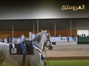 خيول ياس تفرض حضورها بثلاثية لافتة في السباق الثامن بنادي العين للفروسية
