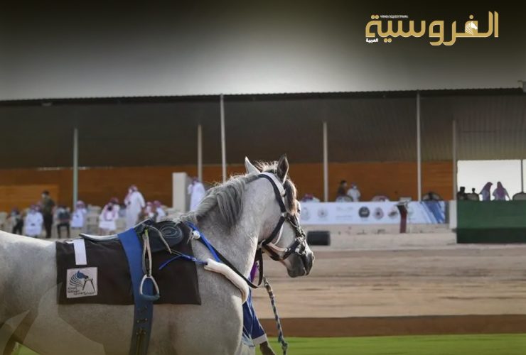 «هادي دو كارير» يتوج بكأس عين سنان على مضمار العقدة