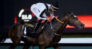 يشمل السباق الثامن عشر التنافس على كأس مركز البحرين للمجوهرات وكأس بورش وكأس فطيس الهاجري