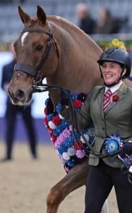 الحصان رولي (Roly) المعروف في ميادين العروض باسم رانشيلا رولكس (Ranchella Rolex)