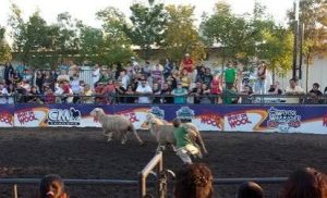 مهرجان The Big Fresno Fair