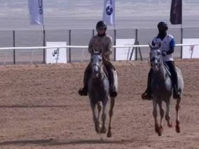 الفروسية في دارفور