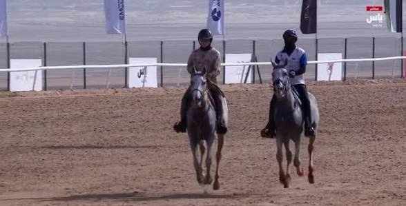 الفروسية في دارفور