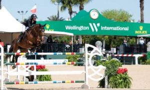 يشارك أسبوعياً قرابة ثلاثة آلاف حصان في المنافسات