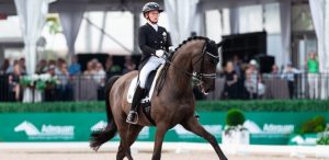 سبيشل بلند أصغر الخيول المشاركة سناً