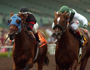 سباقات الخيل