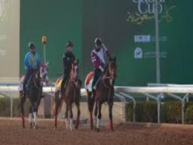 قيمة خيول كأس السعودية تتجاوز 262 مليون ريال