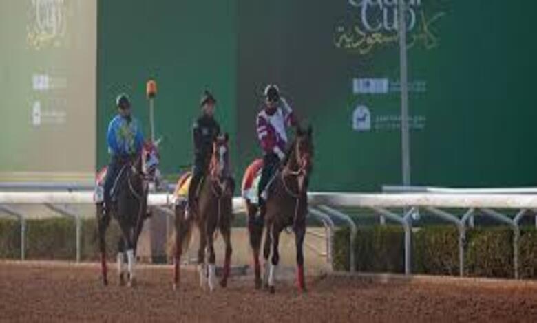 قيمة خيول كأس السعودية تتجاوز 262 مليون ريال