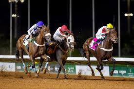 سباقات الخيول تستكمل برامجها المسائية في أستراليا