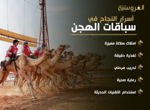 أسرار النجاح في سباقات الهجن