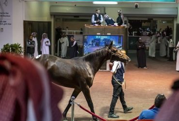إدراج مزاد «بريز أب» ضمن فعاليات كأس دبي العالمي