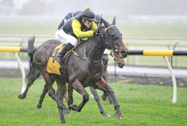 يشد الحصان تولسا كينغ الرحال هذا الأسبوع نحو سباق ديربي النيوزيلندي