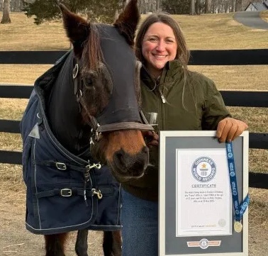 فانسي الفائزة بلقب أكبر حصان في العالم