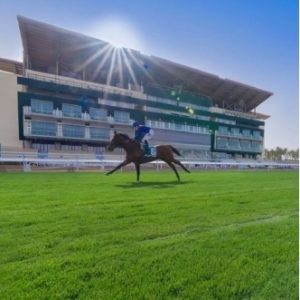 تخضع مضامير السباق لأعمال صيانة دورية