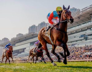 جانب من سباقات الخيل