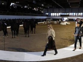 خيول ستيلا مكارتني تسرق الأضواء