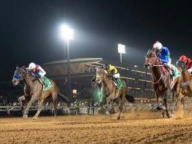 سباقات الخيل