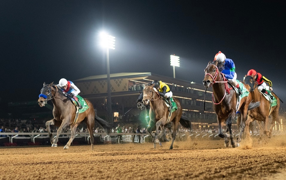 سباقات الخيل