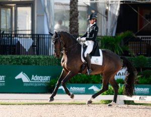 يستهدف تحدي “لوفستا فيوتشر” تطوير الخيول