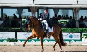 رياضة الترويض من أكثر تخصصات الفروسية دقة وتعقيداً