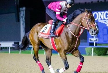 يدخل الجواد الياباني «فوريفر يونج» السباق كأبرز المرشحين
