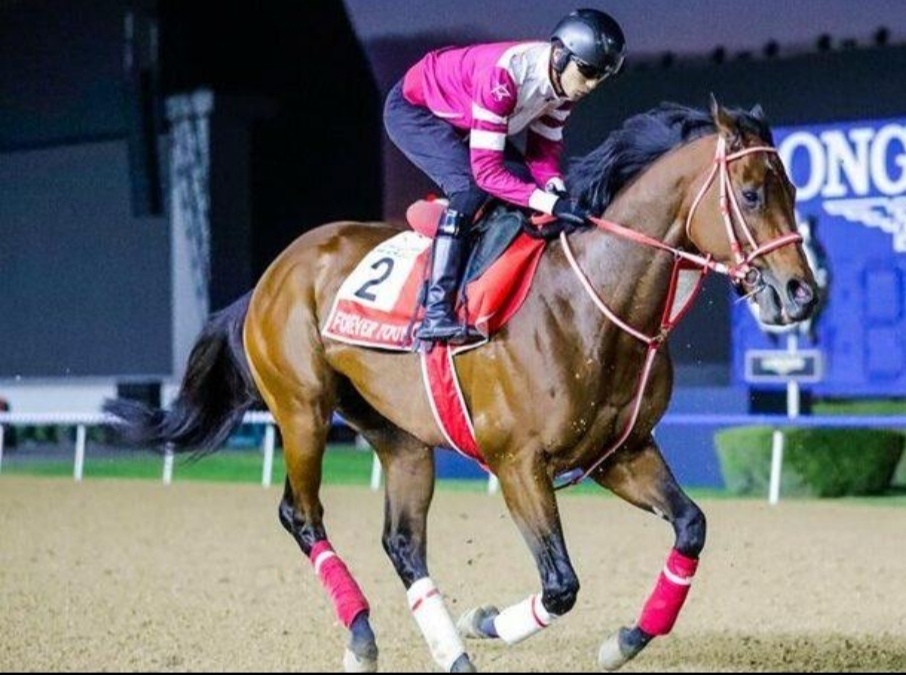 يدخل الجواد الياباني «فوريفر يونج» السباق كأبرز المرشحين