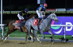 تضم قائمة المشاركين تسعة خيول ما يرفع من مستوى التنافس في الشوط الرئيسي