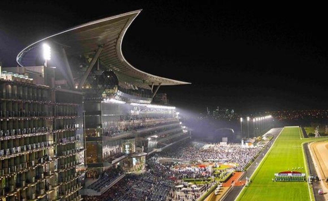 دبي جولدن شاهين يقام ضمن الشوط السادس من أمسية الكأس