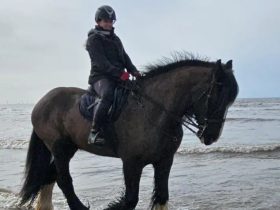 تمكنت الفارسة السابقة في قفز الحواجز هارييت مارتن من العودة إلى ركوب الخيل، بعد أكثر من عامين من التوقف القسري