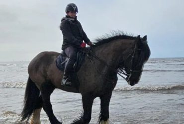 تمكنت الفارسة السابقة في قفز الحواجز هارييت مارتن من العودة إلى ركوب الخيل، بعد أكثر من عامين من التوقف القسري