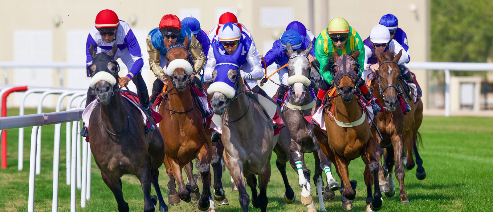 سباقات الخيل