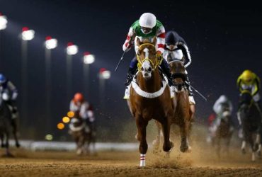 6 خيول تتأهل لكأس دبي