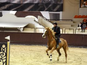 سباقات الخيل في دمشق