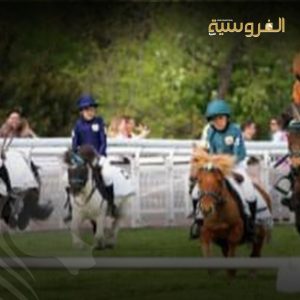 سجلت البطولة حضوراً لافتاً من مختلف الفئات العمرية والمستويات الفنية