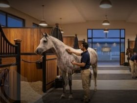 إسطبلات الخيول