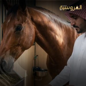 انطلقت اليوم في منطقة القصيم فعاليات بطولة جمال الخيل العربية الأصيلة