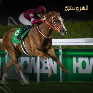 يواصل نادي سباقات الخيل أداء دور محوري في تطوير منظومة سباقات الخيل في المملكة