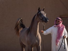 شهد ميدان الفروسية في منطقة حائل فعاليات اليوم الختامي لمهرجان الأمير عبدالعزيز بن سعد لسباقات الخيل