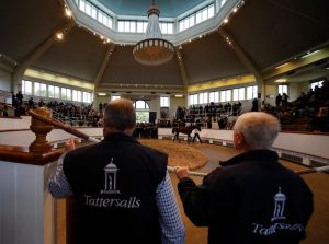 مزاد Tattersalls
