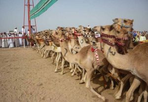 توزعت المنافسات على فئات عمرية مختلفة