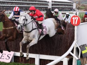 إيقاف الفارس الأسترالي ناش رويلر Nash Rawiller