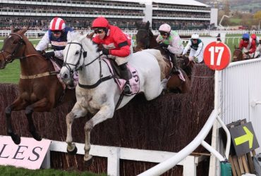 إيقاف الفارس الأسترالي ناش رويلر Nash Rawiller