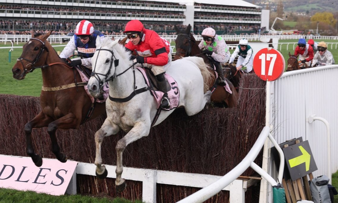 إيقاف الفارس الأسترالي ناش رويلر Nash Rawiller