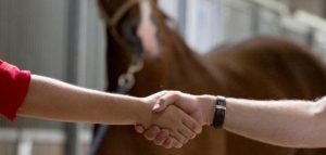 تنظيم أول مزاد افتراضي للجياد في البحرين.