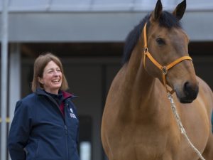 يعتمد نجاح البرنامج على طبيعة الخيول نفسها، فهي حيوانات شديدة الحساسية للإشارات غير اللفظية