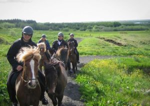 يعتمد هذا النمط على مرافقة الزوار في جولات ممتدة عبر الحقول البركانية والأنهار الجليدية